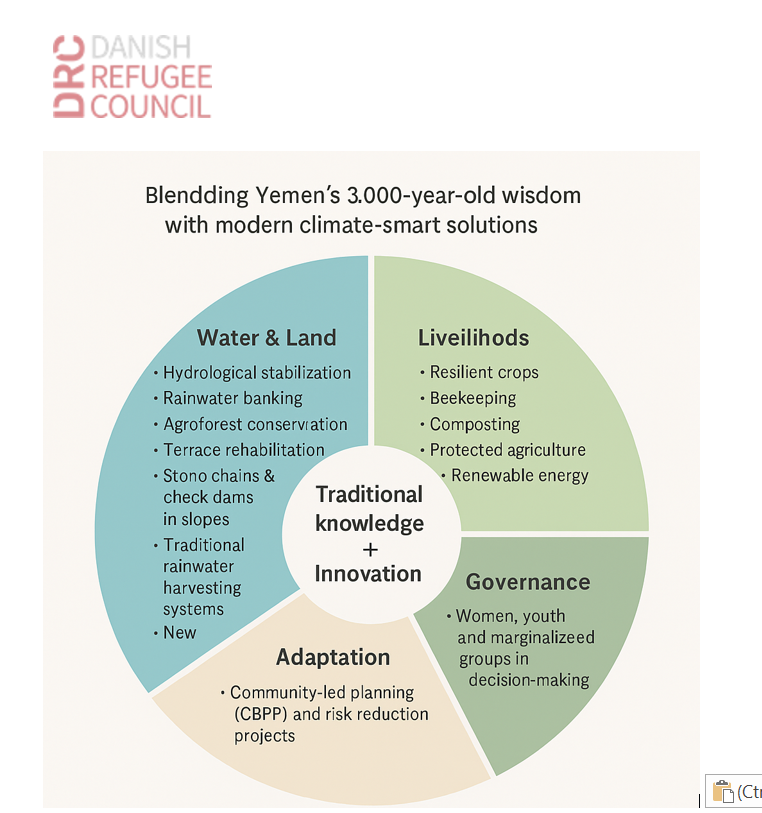 Yemen DRC RAD framework
