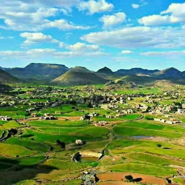 Green fields with irrigation channels and mountains in the back