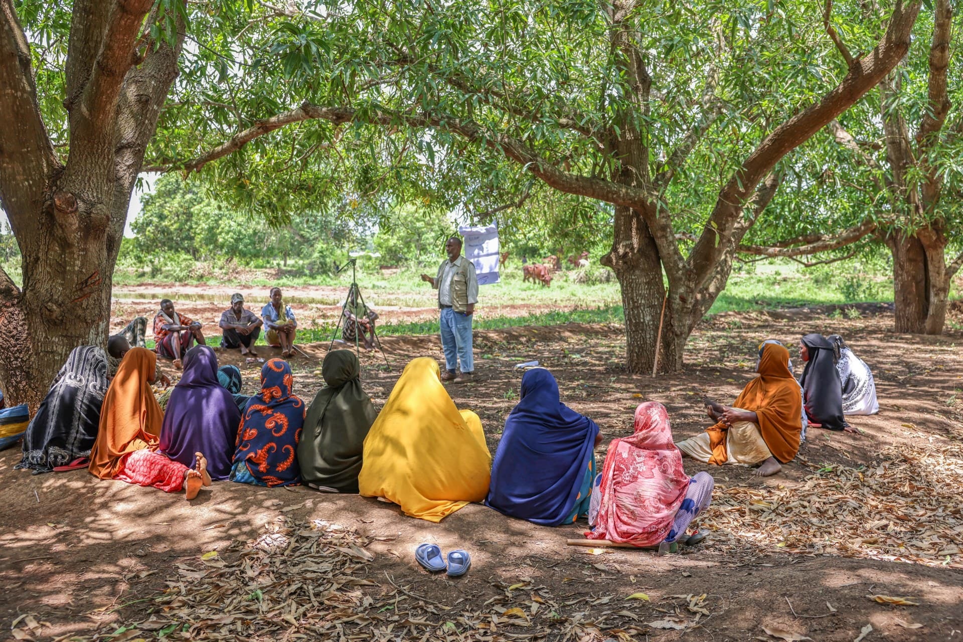 Group sitting under trees