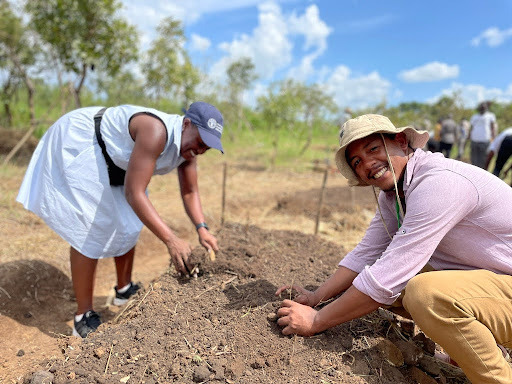 2 people dig in soil