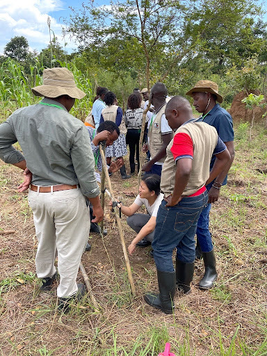 Group with A-frame level