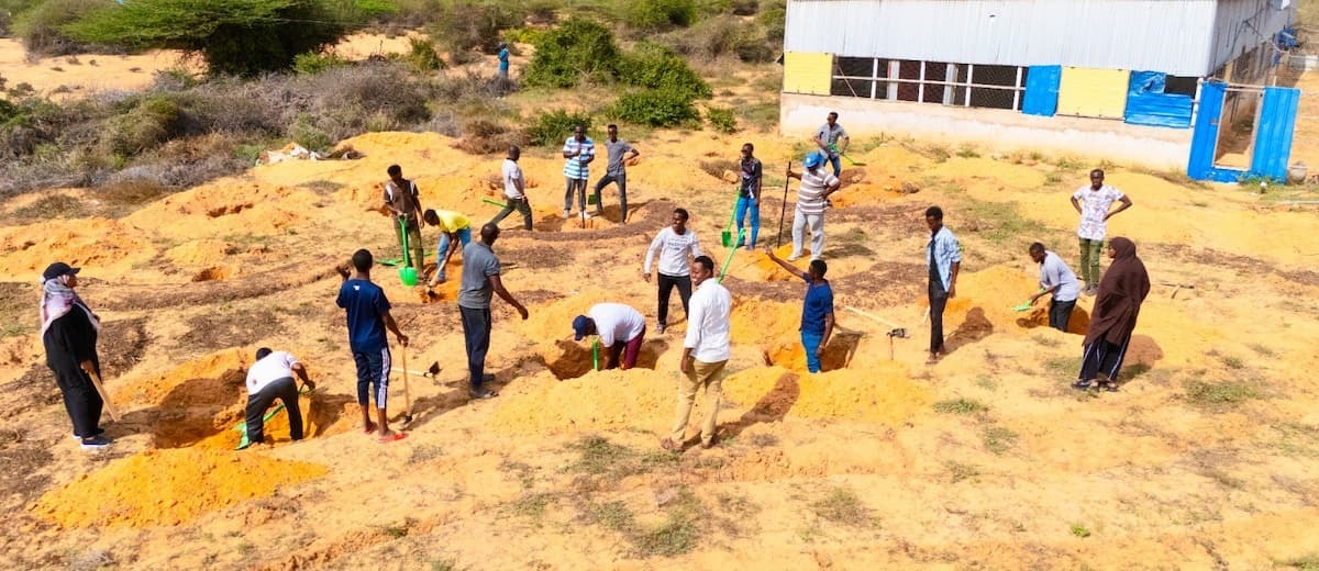 People digging in barren soil
