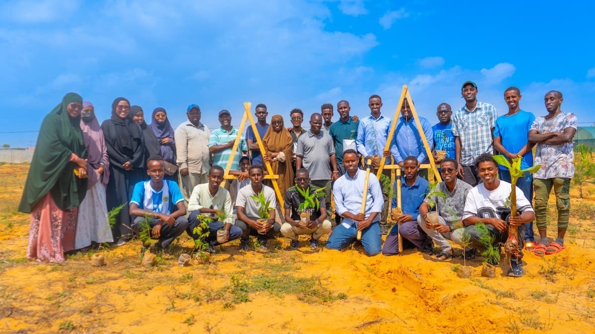 Group of people with A-frame levels