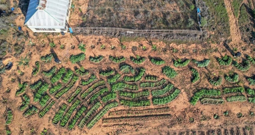 aerial image of farm after intervention