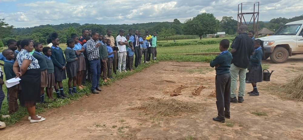 Group of people looking at ground
