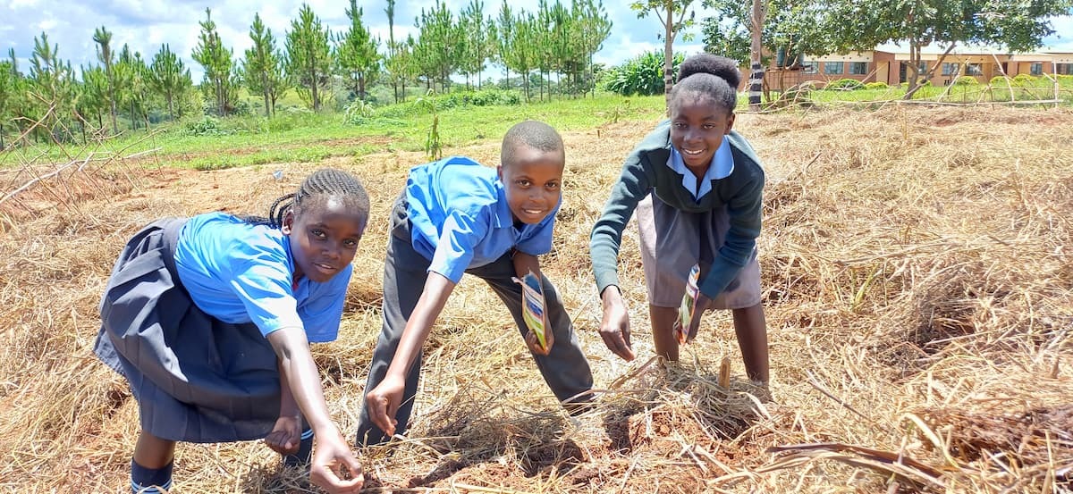 3 children smiling with mulch