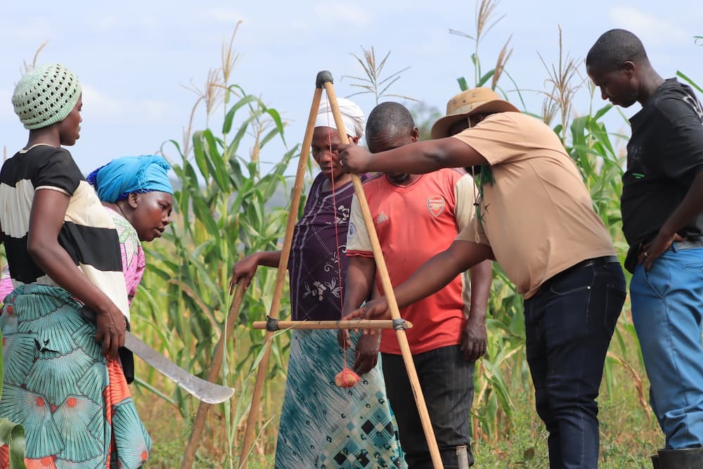 people in field with a-frame level