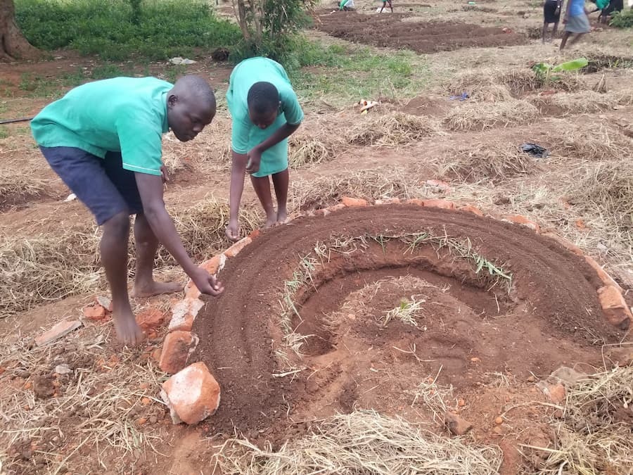 two boys put seeds into a half-moon planting bed in uganda