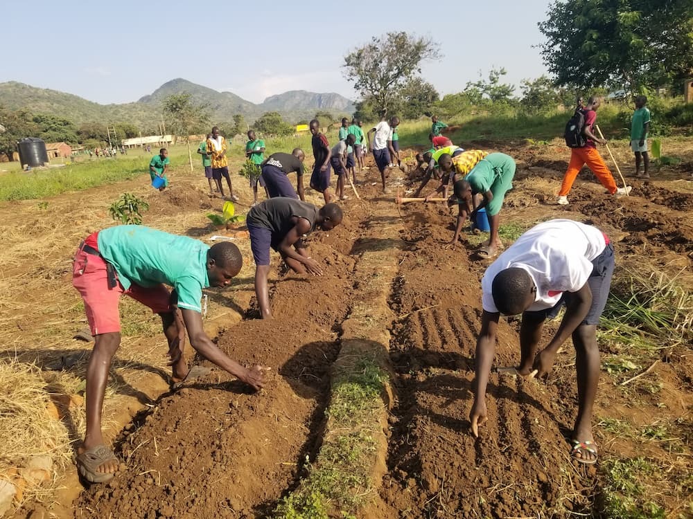 Students planting seeds in a straight garden bed in Uganda