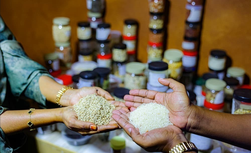 Two hands with seeds