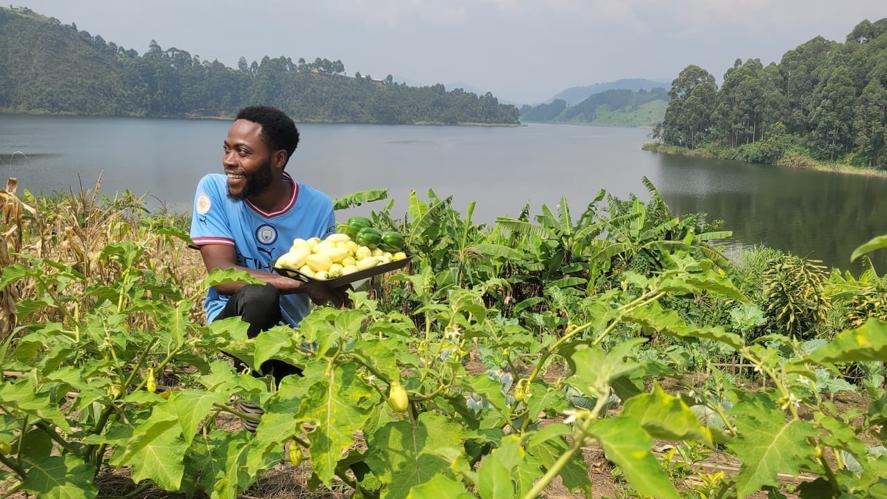 Man in field holding vegetables